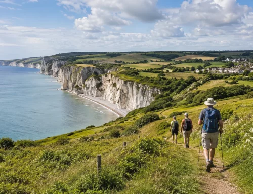 Randonnée autour de Paluel et Veulettes : sentiers entre mer et campagne